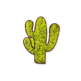 Wallity Cactus Accesorio decorativo de pared Verde y Blanco